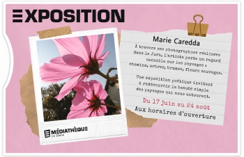 photo,photographie,photographe,marie caredda,médiathèque le dôme,saint claude,jura,franche comté,nature,paysages jurassiens,campagne,blog littéraire de christian cottet-emard,marie caredda photographe