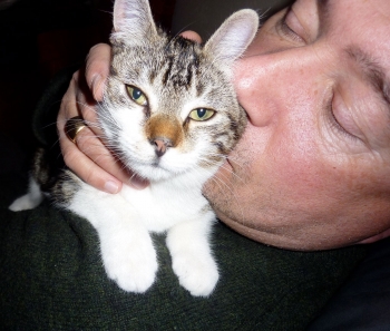 hommage,linette,chatte,minette,félin