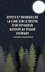 roman,littérature,effets et prodiges de la lune,destin,voyageur,train,gare,oyonnax,venise,france,italie,art,gare d'oyonnax,gare de venise santa lucia,christian cottet-emard,ville natale,alain coutty,fresque,brasserie du chemin de fer,autorail,blog littéraire de christian cottet-emard,kiosque hôpital d'oyonnax,librairie buffet,voitures anciennes 1960