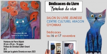 pierre béjoint,peinture,artiste,oyonnax,salon du livre jeunesse,médiathèque oyonnax,ain,rhône alpes,france,europe,blog littéraire de christian cottet-emard,littérature jeunesse