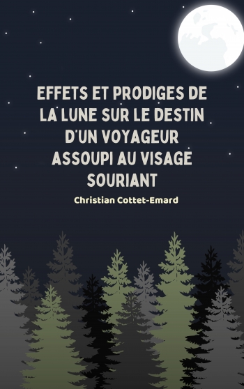 roman,littérature,effets et prodiges de la lune,destin,voyageur,train,gare,oyonnax,venise,france,italie,art,gare d'oyonnax,gare de venise santa lucia,christian cottet-emard,ville natale,alain coutty,fresque,brasserie du chemin de fer,autorail,blog littéraire de christian cottet-emard,kiosque hôpital d'oyonnax,librairie buffet