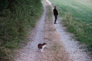 hommage,linette,chatte,minette,félin