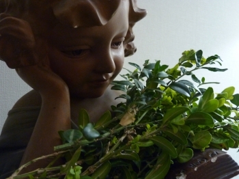 dimanche des rameaux, fêtes chrétiennes, église catholique, rameaux, blog littéraire de christian cottet-emard, occident, culture chrétienne