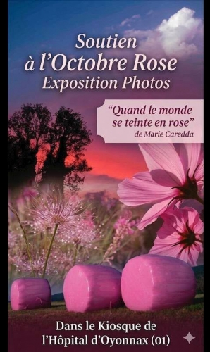photo,octobre rose,hôpital oyonnax,photogtaphie,marie caredda photographe,blog littéraire de christian cottet-emard,oyonnax,ain,haut bugey,rhône alpes,france,europe