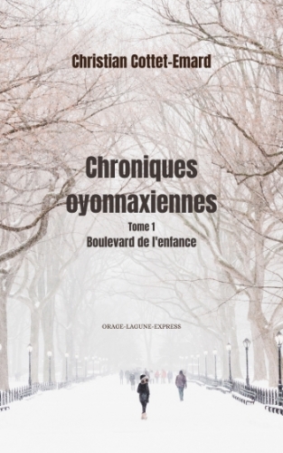 chroniques oyonnaxiennes,oyonnax,ain,bugey,fêtes,noël,jour de l'an,librairie buffet,kiosque hôpital oyonnax,amazon,blog littéraire de christian cottet-emard