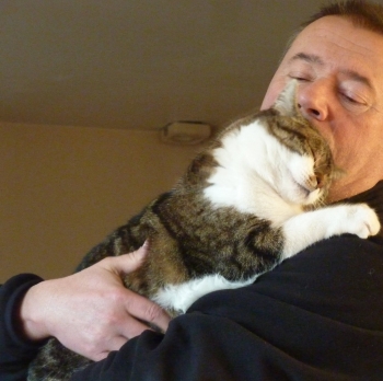 hommage,linette,chatte,minette,félin